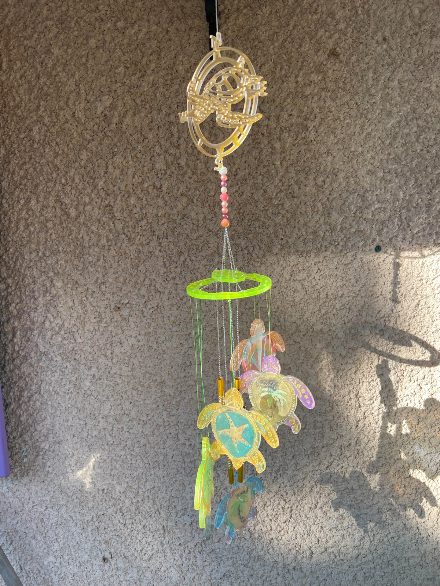 Carillon 19,80 