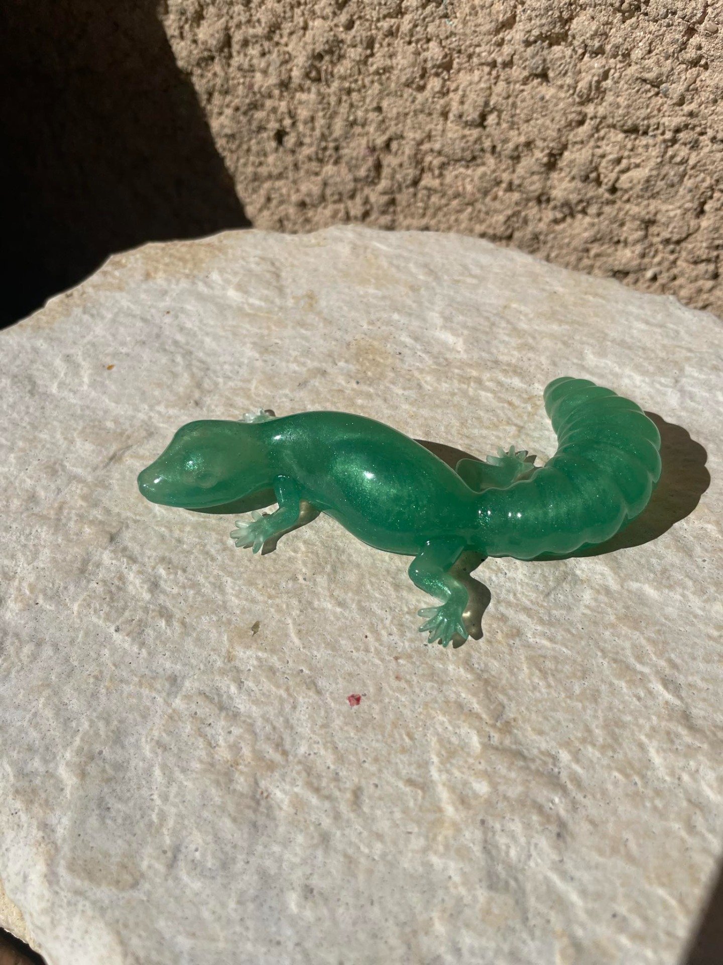 Lézard / 5 euros